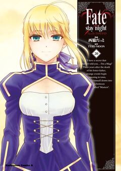 Fate/stay night 20巻