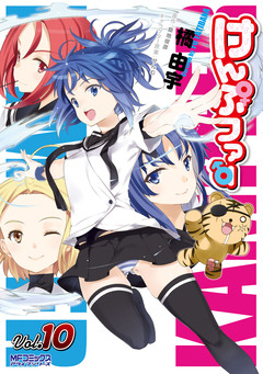 けんぷファー 10巻