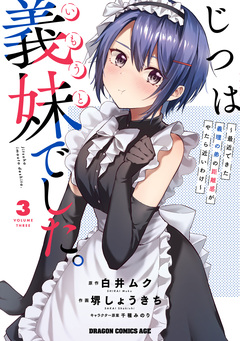 じつは義妹でした。～最近できた義理の弟の距離感がやたら近いわけ～ 3巻