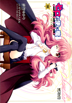 ゼロの使い魔 シュヴァリエ 2巻