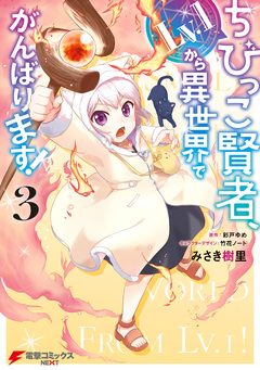 ちびっこ賢者、Lv.1から異世界でがんばります! 3巻