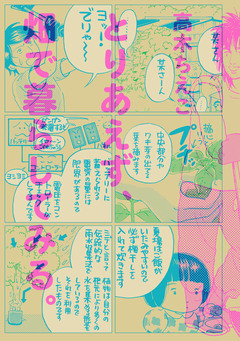 とりあえず、畑で暮らしてみる。 1巻