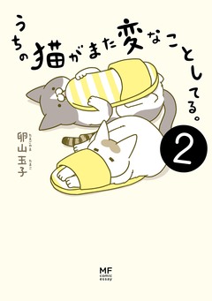 うちの猫がまた変なことしてる。 2巻