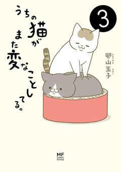 うちの猫がまた変なことしてる。 3巻