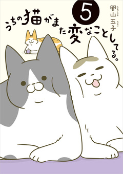 うちの猫がまた変なことしてる。 5巻