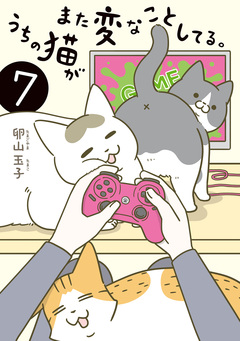 うちの猫がまた変なことしてる。 7巻