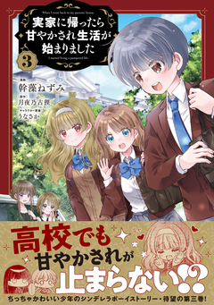 実家に帰ったら甘やかされ生活が始まりました(コミック) 3巻