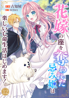 花嫁の座を奪われた忌み姫は楽しい亡命生活はじめます! 12巻