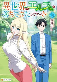 異世界からエルフさんが落ちてきたのですが!? 3巻
