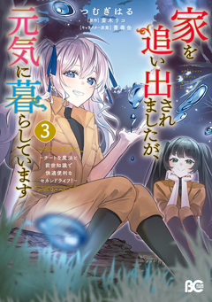 家を追い出されましたが、元気に暮らしています ～チートな魔法と前世知識で快適便利なセカンドライフ!～ 3巻