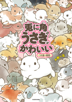 兎に角うさぎがかわいい 2巻