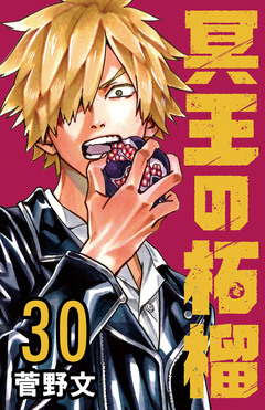 冥王の柘榴(話売り) 30巻