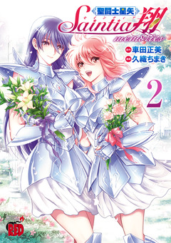 聖闘士星矢 セインティア翔 memories 2巻