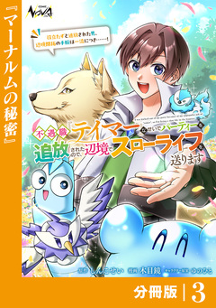 不遇職『テイマー』なせいでパーティーを追放されたので、辺境でスローライフを送ります【分冊版】 3巻