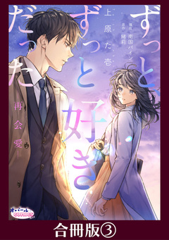 ずっと、ずっと好きだった―再会愛―【合冊版】 3巻