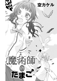 魔術師のたまご 1巻