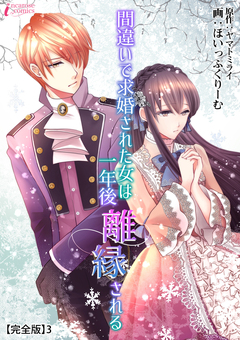 間違いで求婚された女は一年後離縁される【完全版】 3巻