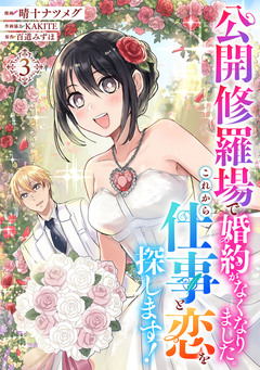 公開修羅場で婚約がなくなりました。これから仕事と恋を探します! 3巻
