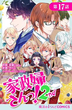 【単話】家政婦さんっ!2nd 17巻