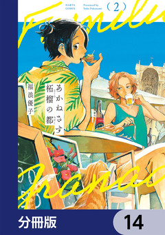 あかねさす柘榴の都【分冊版】 14巻