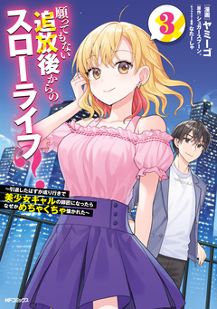 願ってもない追放後からのスローライフ? ～引退したはずが成り行きで美少女ギャルの師匠になったらなぜかめちゃくちゃ懐かれた～ 3巻
