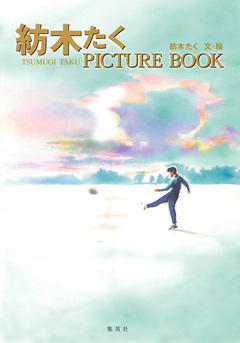 紡木たく PICTURE BOOK 1巻