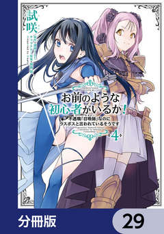 お前のような初心者がいるか! 不遇職『召喚師』なのにラスボスと言われているそうです【分冊版】 29巻