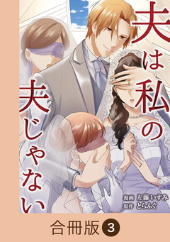 夫は私の夫じゃない【合冊版】 3巻