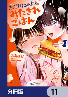 みだれたふたりのみたされごはん【分冊版】 11巻