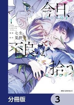 今日、不良を拾う【分冊版】 3巻