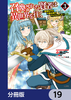 召喚された賢者は異世界を往く ~最強なのは不要在庫のアイテムでした~【分冊版】 19巻