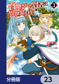 召喚された賢者は異世界を往く ~最強なのは不要在庫のアイテムでした~【分冊版】 23巻