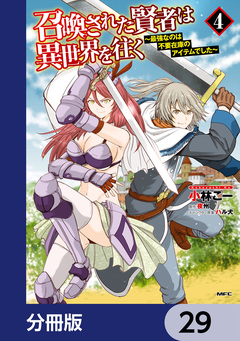 召喚された賢者は異世界を往く ~最強なのは不要在庫のアイテムでした~【分冊版】 29巻
