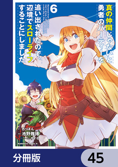 真の仲間じゃないと勇者のパーティーを追い出されたので、辺境でスローライフすることにしました【分冊版】 45巻