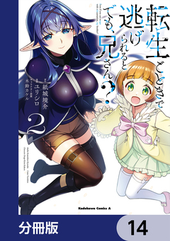 転生ごときで逃げられるとでも、兄さん?【分冊版】 14巻