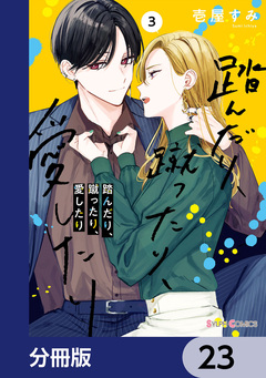 踏んだり、蹴ったり、愛したり【分冊版】 23巻