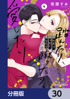 踏んだり、蹴ったり、愛したり【分冊版】 30巻
