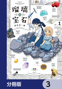 瑠璃の宝石【分冊版】 3巻