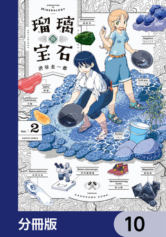 瑠璃の宝石【分冊版】 10巻