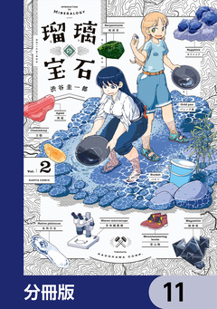 瑠璃の宝石【分冊版】 11巻