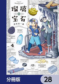 瑠璃の宝石【分冊版】 28巻