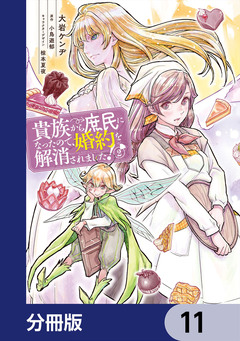 貴族から庶民になったので、婚約を解消されました!【分冊版】 11巻