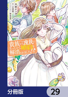 貴族から庶民になったので、婚約を解消されました!【分冊版】 29巻