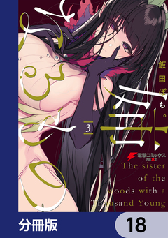 姉なるもの【分冊版】 18巻