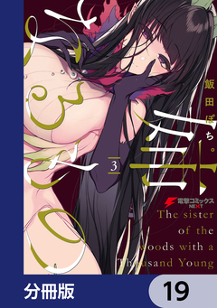 姉なるもの【分冊版】 19巻