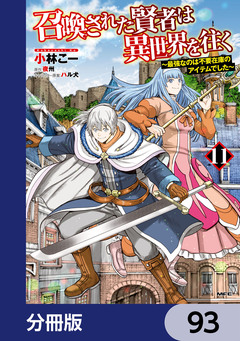 召喚された賢者は異世界を往く ～最強なのは不要在庫のアイテムでした～【分冊版】 93巻