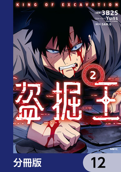 盗掘王【分冊版】 12巻