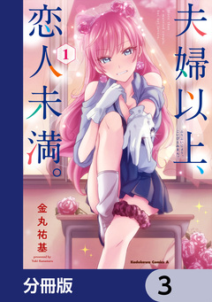 夫婦以上、恋人未満。【分冊版】 3巻