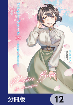 ピクチャーブライド【分冊版】 12巻