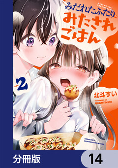 みだれたふたりのみたされごはん【分冊版】 14巻